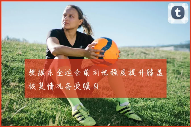 樊振东全运会前训练强度提升膝盖恢复情况备受瞩目
