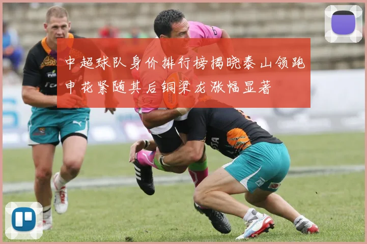 中超球队身价排行榜揭晓泰山领跑申花紧随其后铜梁龙涨幅显著